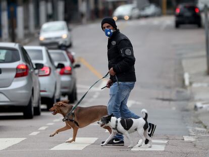 Homem passeia com cachorros em uma rua de São Paulo no último dia 17.