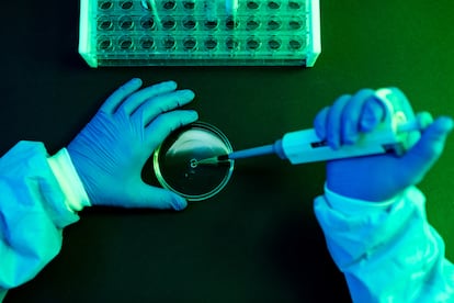 Un científico en un laboratorio.