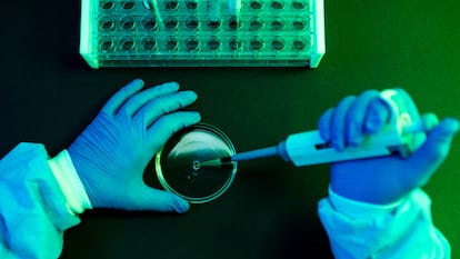 Un científico en un laboratorio.