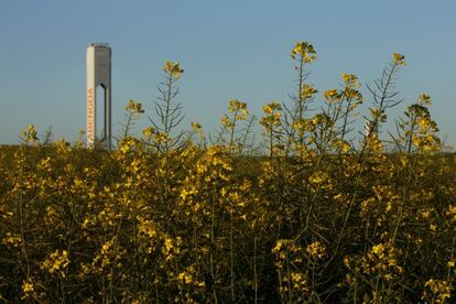 Planta solar de Abengoa.