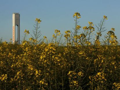 Planta solar de Abengoa.