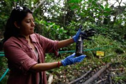 La colaboradora ambiental del gobierno de Ecuador, Cyntia Zapata, muestra una botella con los residuos de petróleo este martes 17 de septiembre de 2013, en un reservorio antiguo de desechos petroleros afectado por la Chevron (Texaco) en el pozo Aguarico 4 en la Amazonía (Ecuador).