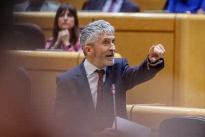 El ministro del Interior, Fernando Grande-Marlaska, interviene durante una sesión plenaria de control en el Senado.
