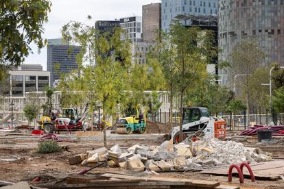 Ejemplares de árbol de varias especies en la zona central del futuro parque de la plaza de les Glòries, todavía en obras.