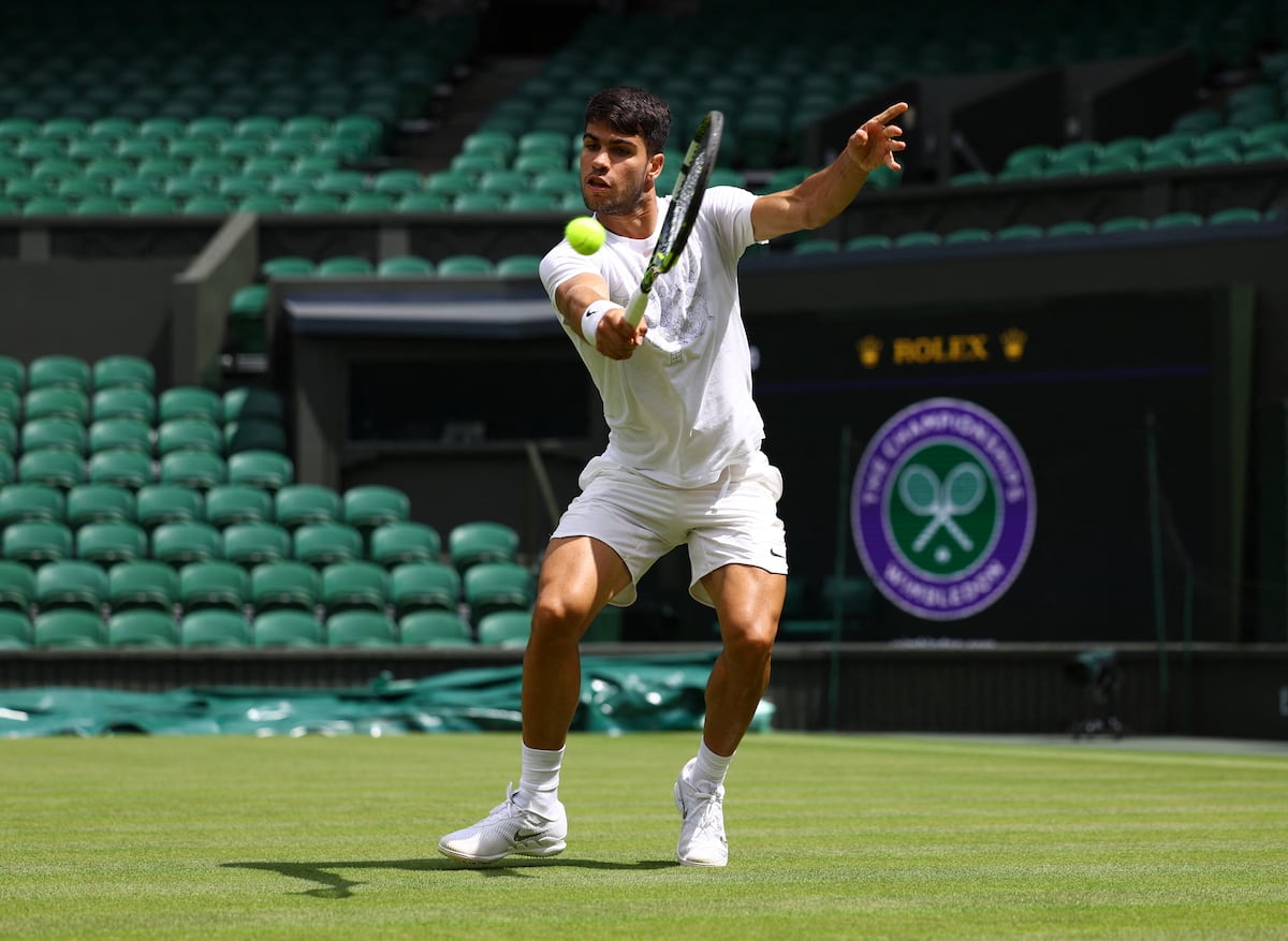 Alcaraz will debut against Lajal at Wimbledon in a draw that will put him on track to face Sinner in the semi-finals and Djokovic in the final