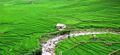 La fotografía de hoy nos llega desde aldea de Lao Chai, en las cercanías de Sa Pa, Vietnam. "En el fondo del valle, una pequeña casa destaca en el ordenado mosaico monocromo de los arrozales. El cielo totalmente cubierto realza la intensidad del verde hasta hacerla abrumadora".