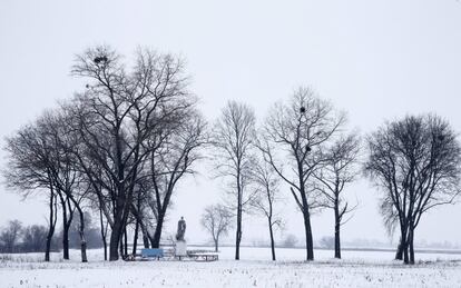 A World War Two monument is seen near the 30 km (19 miles) exclusion zone around the Chernobyl nuclear reactor, near the village of Babchin, Belarus, January 26, 2016. What happens to the environment when humans disappear? Thirty years after the Chernobyl nuclear disaster, booming populations of wolf, elk and other wildlife in the vast contaminated zone in Belarus and Ukraine provide a clue. On April 26, 1986, a botched test at the nuclear plant in Ukraine, then a Soviet republic, sent clouds of smouldering radioactive material across large swathes of Europe. Over 100,000 people had to abandon the area permanently, leaving native animals the sole occupants of a cross-border "exclusion zone" roughly the size of Luxembourg. REUTERS/Vasily Fedosenko   SEARCH "WILD CHERNOBYL" FOR THIS STORY. SEARCH "THE WIDER IMAGE" FOR ALL STORIES