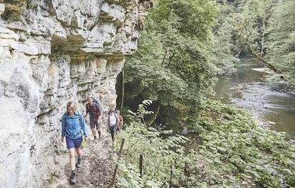 Excursión por la garganta del río Wutach, en la Selva Negra de Alemania.