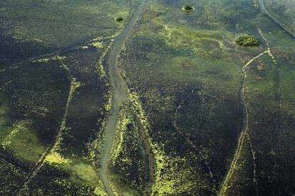 Panorámica de una zona de marismas al norte del Estado brasileño de Amapá.