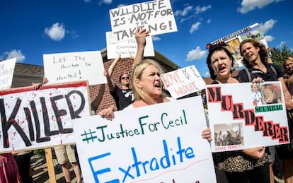 Manifestantes claman contra Palmer ante su clínica dental en Minnesota