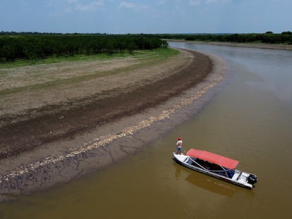 Lake Piranha in Manacapuru Brazil