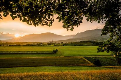 Eslovenia tiene fama de producir algunos de los mejores vinos del este europeo, especialmente los que provienen del valle de Vipava (en la foto), de clima mediterrneo, vientos frescos de invierno y una tierra frtil bordeada por los escarpados altiplanos krsticos. Eso s, casi nadie conoce los paisajes de este valle del sureste del pas, que en algn momento podran trasladarnos a la Toscana italiana; pueblos con iglesias gticas y tejados rojizos, vi?edos encaramados en las colinas y peque?as explotaciones viticultoras que mantienen las variedades y tcnicas locales. Vipava es perfecto para moverse en coche o en bici, ofrece fantsticas propuestas 'gourmet' e invita a detenerse en alguna de sus bodegas para probar sus excelentes vinos. Las dos localidades ms interesantes son Ajdovscina y Vipaya. <a href="http://www.winestronaut.com/en/" target="_blank">winestronaut.com</a>