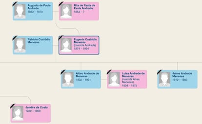 Parte da árvora genealógica de Souza, onde aparece o casal Eugenia e Patrício.