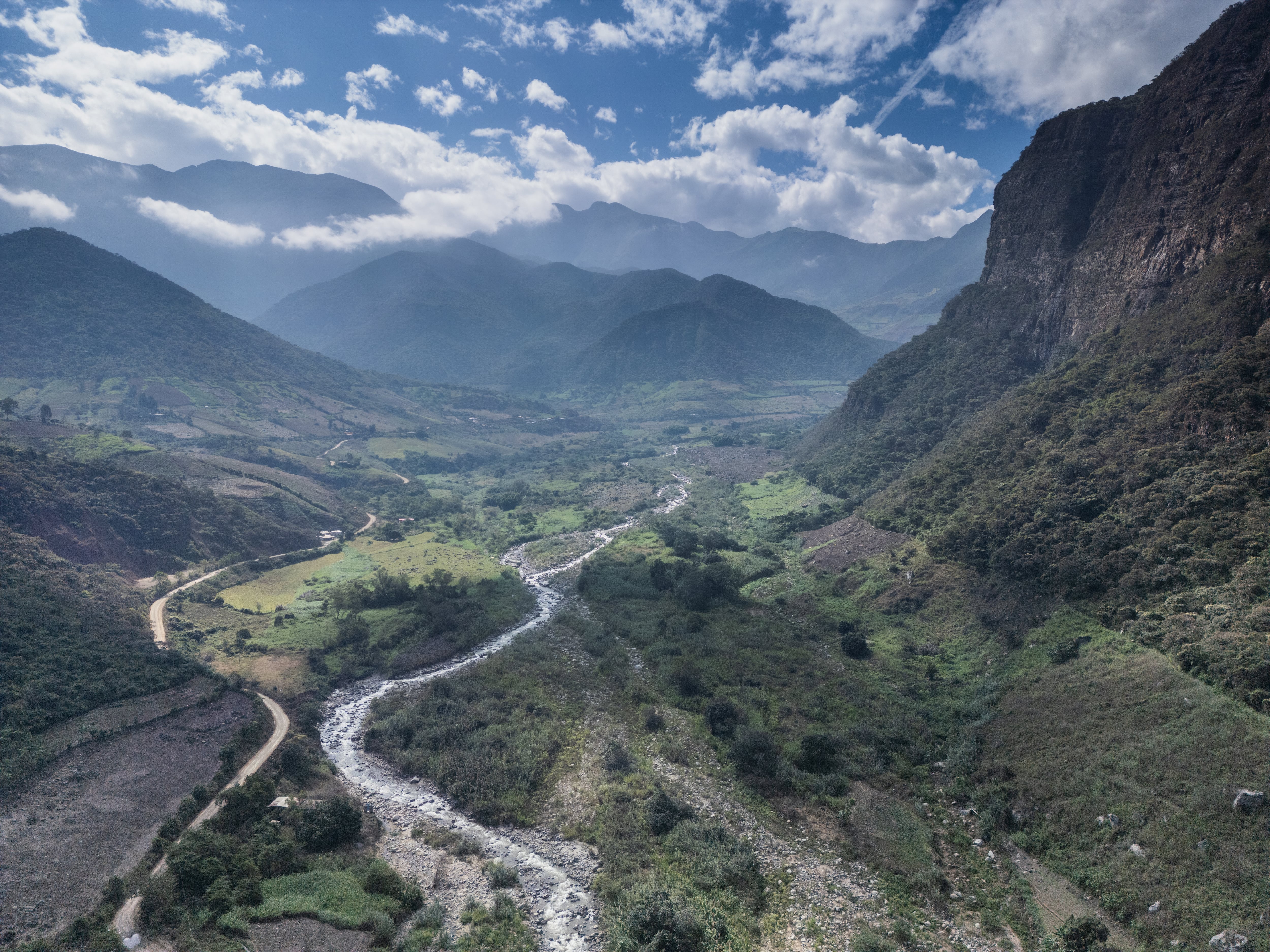 El exitoso plan para que la pava aliblanca no se extinga en Perú