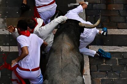 Caídas, contusiones, resbalones, atropellos y revolcones, muchos, pero más por la excesiva afluencia de mozos que por la condición de los toros, acostumbrados, como la mayoría de los que pastan en las dehesas, a correr en manada por el campo en un entrenamiento casi diario para que lleguen en buena forma física a la plaza.