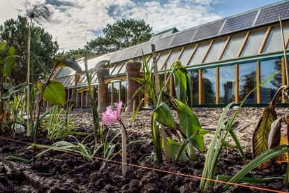 En el terreno situado a la entrada se ha formado un humedal con flores y plantas autóctonas. Allí desemboca subterráneamente el agua de lluvia que en fases previas se utiliza para beber, regar un huerto orgánico y para abastecer las cisternas y lavamanos de los lavabos. 