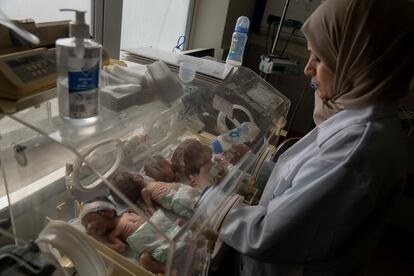 Una enfermera prepara a los bebés prematuros del hospital de Shifa para ser evacuados a Egipto después de ser trasladados a la ciudad de Rafah, en la Franja de Gaza.