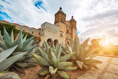 La catedral de Santo Domingo en el centro histórico de la ciudad de Oaxaca (México).