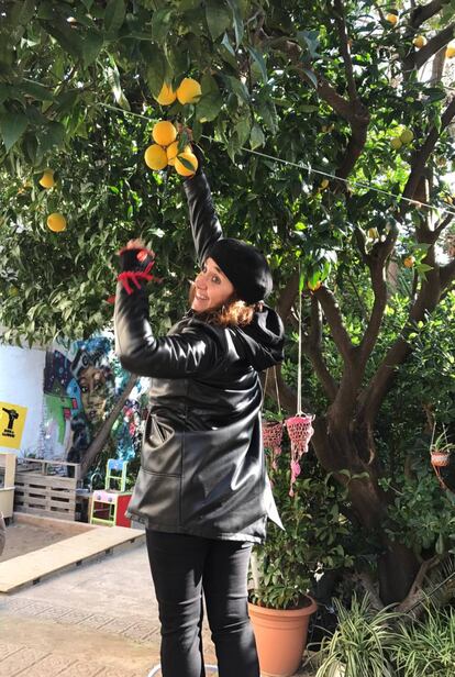 En el Jardí del Silenci se pueden recolectar naranjas