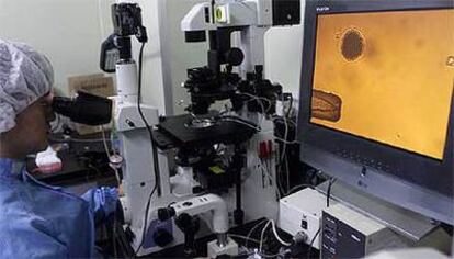 Un investigador de la Universidad Nacional de Seúl inyecta una célula somática durante un experimento en el laboratorio, ayer.