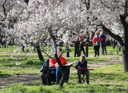 Muchos madrileños aprovechan estos días para disfrutar de uno de las estampas más características de la capital.