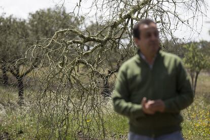 El empresario Manuel Ponce, junto a algunos de los árboles que trata para evitar su muerte.