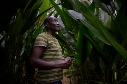 NO USAR SOLO PARA EL TEXTO:
Las mil y una formas de reparar las heridas de la colonización en el Caribe
