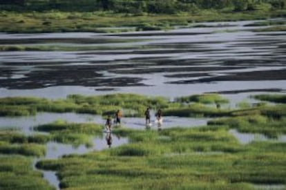 El lago de la brea, en Trinidad y Tobago.