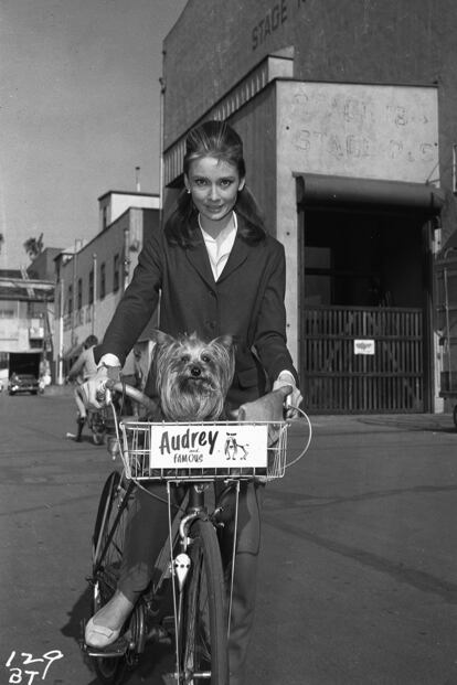 En los años 60 Audrey Hepburn y su adorado perro Mr Famous se desplazaban por los sets de rodaje tirando de pedaleo. Cesta personalizada incluida.