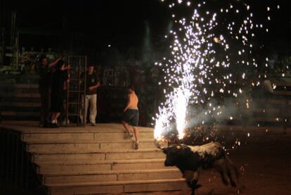 El <i>bou embolat</i> consiste en colocar unas teas en los cuernos del toro para celebrar el encierro.