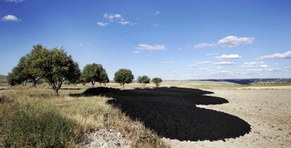 Parte de los residuos que no tratan ya las plantas de secado, en una finca de San Martín de la Vega