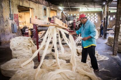 Otro de los empleados que trabaja con las fibras de sisal en la fábrica.