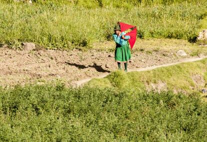 Una mujer porta un saco de hierba para dar de comer a su ganado. Los habitantes de la comunidad aseguran que este año no hubo muchas lluvias y que también cayó una helada. Estas situaciones afectan a los pueblos campesinos que viven de sus cultivos y su ganado.