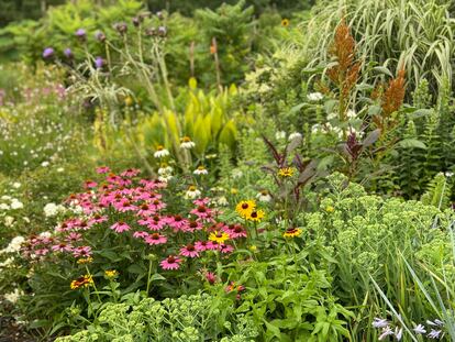 Masterful design example with vibrant perennials by landscaper Íñigo Segurola in Lur Garden (Gipuzkoa, Spain).