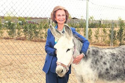 La Reina, posando el pasado septiembre con un burro en un centro de adopci&oacute;n de animales abandonados de Madrid. 