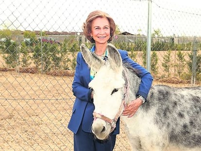 La Reina, posando el pasado septiembre con un burro en un centro de adopci&oacute;n de animales abandonados de Madrid. 