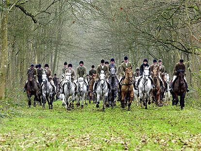 Una partida de cazadores ingleses en acción cabalgan por las cercanías de la ciudad inglesa de Badmington.