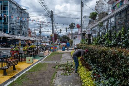 Un hombre arregla una jardinera en el barrio San Felipe, el 7 de julio de 2023.