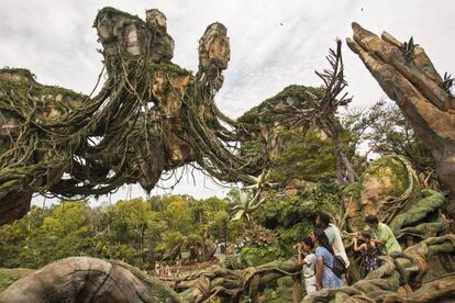 Uno de los paisajes de Pandora - The World of Avatar en el parque Animal Kingdom de Walt Disney World Resort, en Florida.