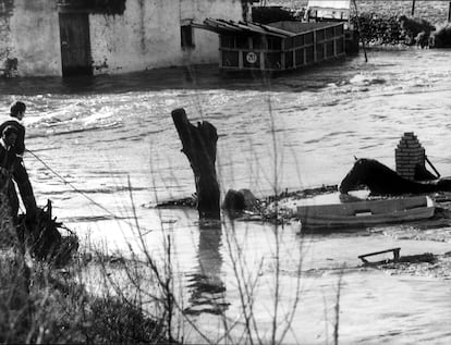 1979. Desbordamiento del río Alagón. El desbordamiento del río Alagón a su paso por Coria (Cáceres) en febrero de 1979 y las fuertes lluvias provocaron 19 muertes. En la imagen, unos vecinos tratan de rescatar un caballo. 