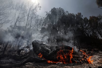 Vista del área afectada por el incendio que desde el sábado a la noche se mantiene activo en un paraje forestal de la localidad navarra de Carcastillo, este lunes.