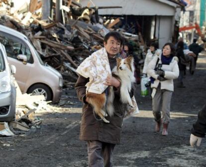 Un hombre camina con su perro en la ciudad de Kesennuma, en la prefectura de Miyagi tras la explosión en la central nuclear de Fukushima.