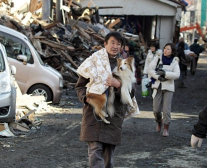 Un hombre camina con su perro en la ciudad de Kesennuma, en la prefectura de Miyagi tras la explosión en la central nuclear de Fukushima.