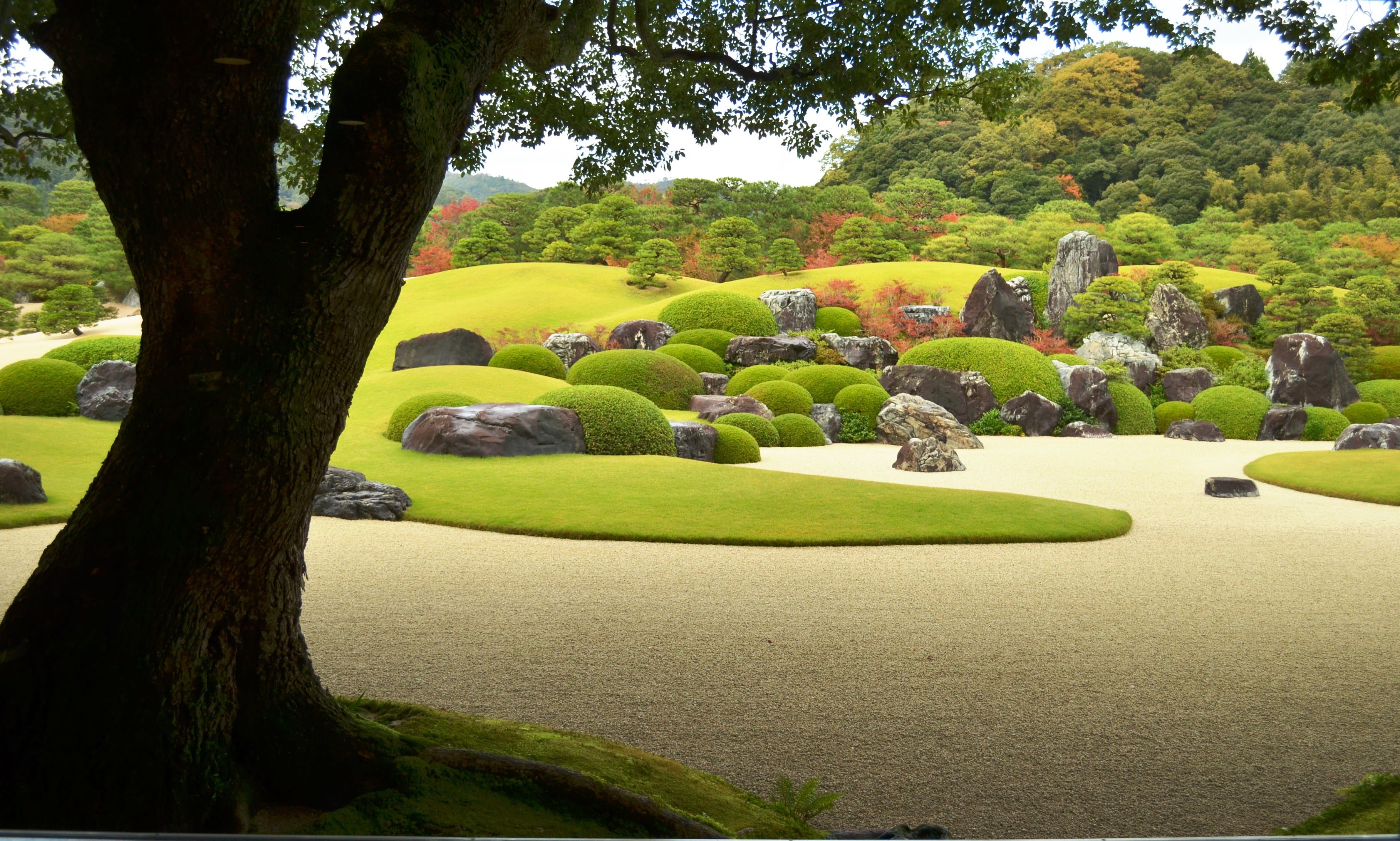 El jardín japonés: un microcosmos que resume el mundo