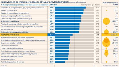 Supervivencia de empresas nacidas en 2016 por actividad principal