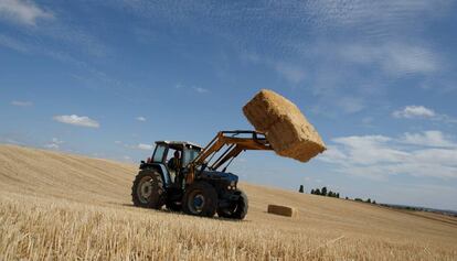 Un tractor carrega uns blocs de palla.