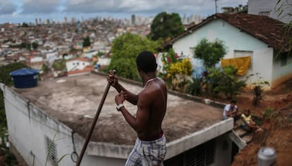 Brasil contin&uacute;a su batalla contra el virus Zika de cara a los JJ OO. 