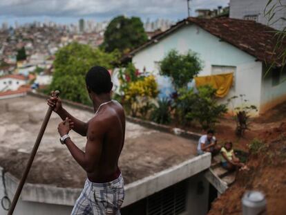 Brasil contin&uacute;a su batalla contra el virus Zika de cara a los JJ OO. 