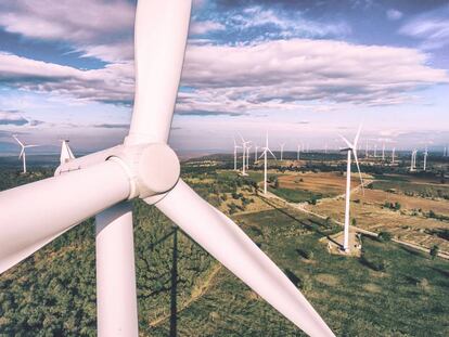 Las energías renovables juegan un papel fundamental en la descarbonización de la sociedad y el desarrollo sostenible.