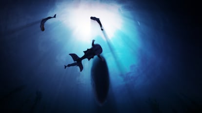 Underwater shot of silhouetted mermaids.
